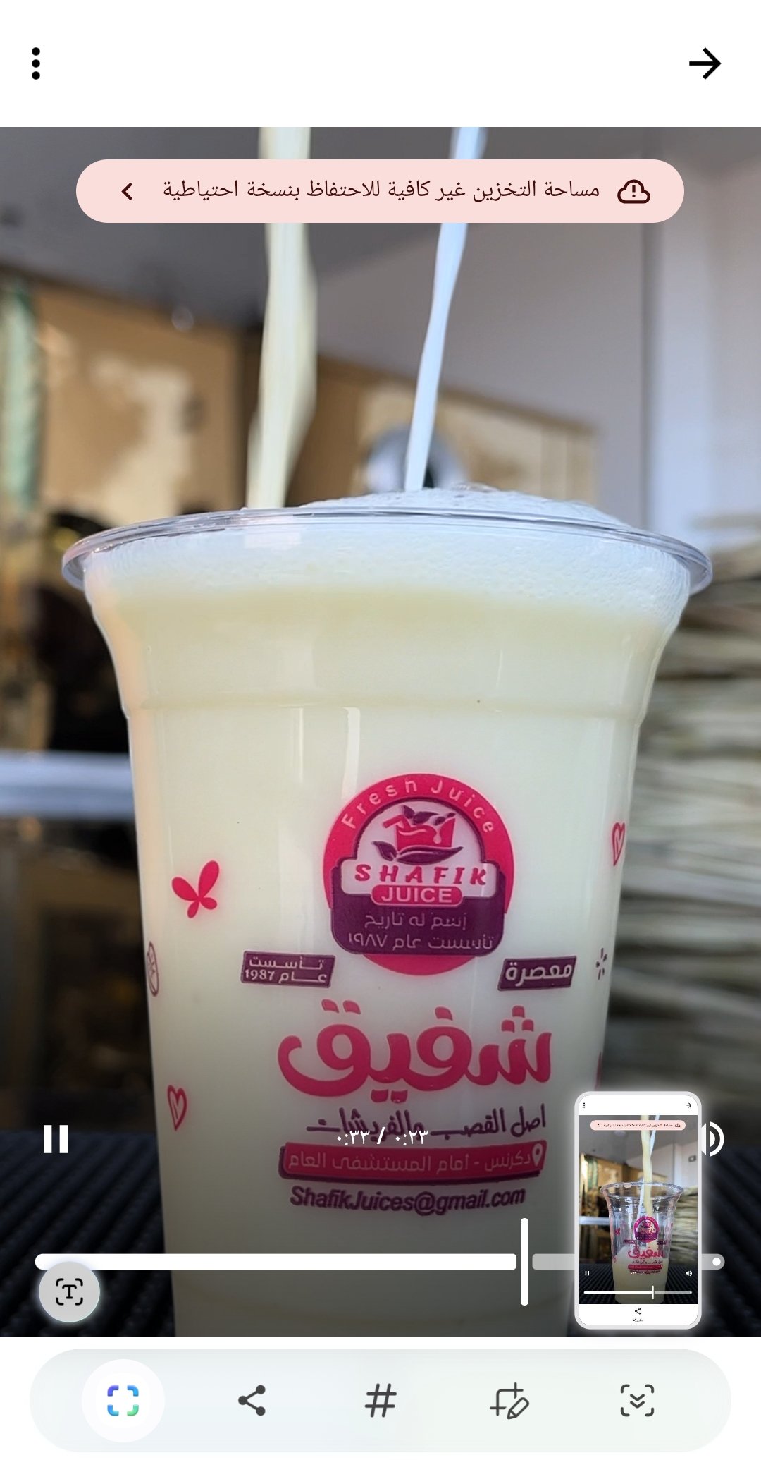 قصب بالسوبيا