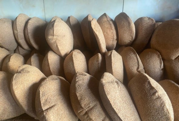 عيش سن
