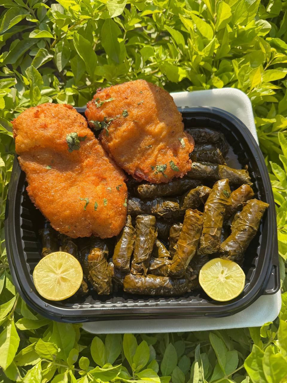 طبق ورق عنب +٢بانيه