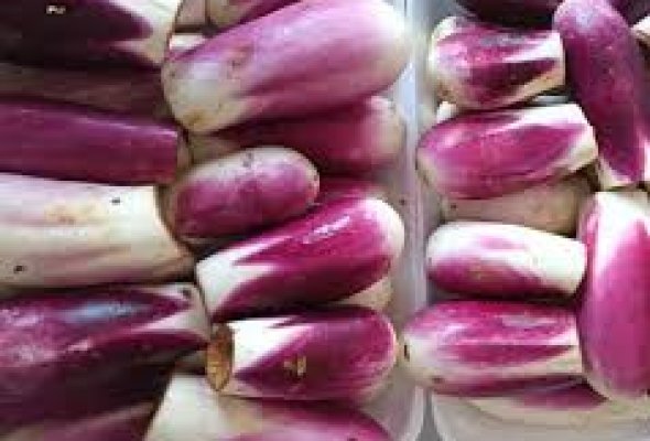 باذنجان جاهز
