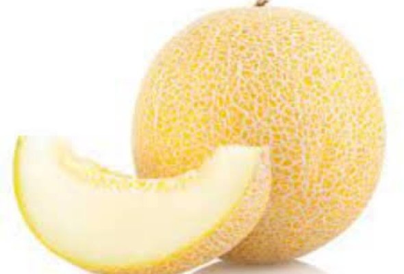 كنتلوب