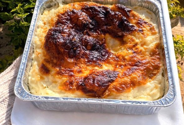 رز معمر 4 قطع