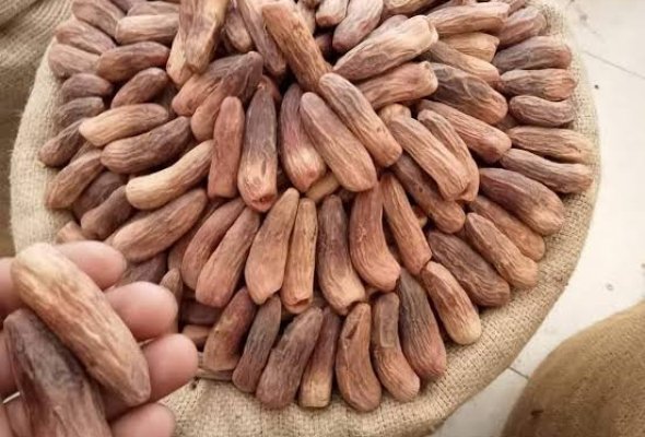 بلح اسواني