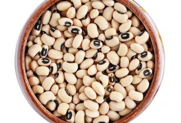 لوبيا