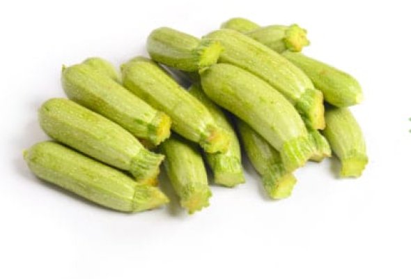 كوسه