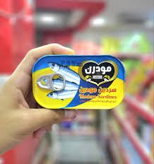 سردين مودرن