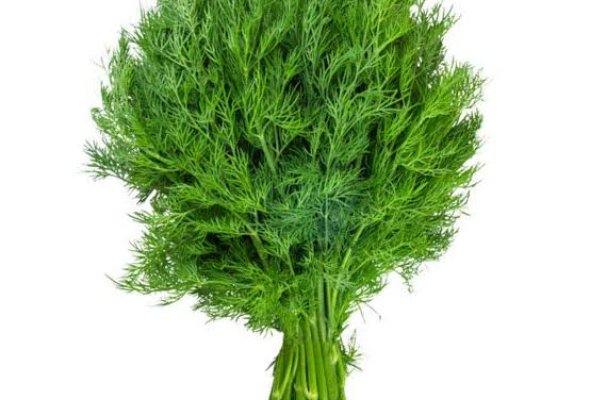 حزمتين شبت