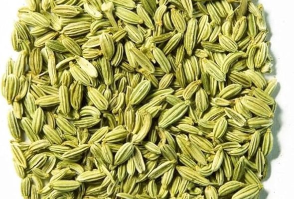 شمر
