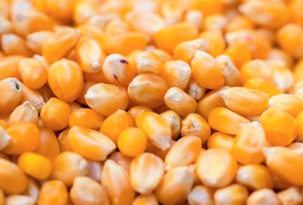 popcorn