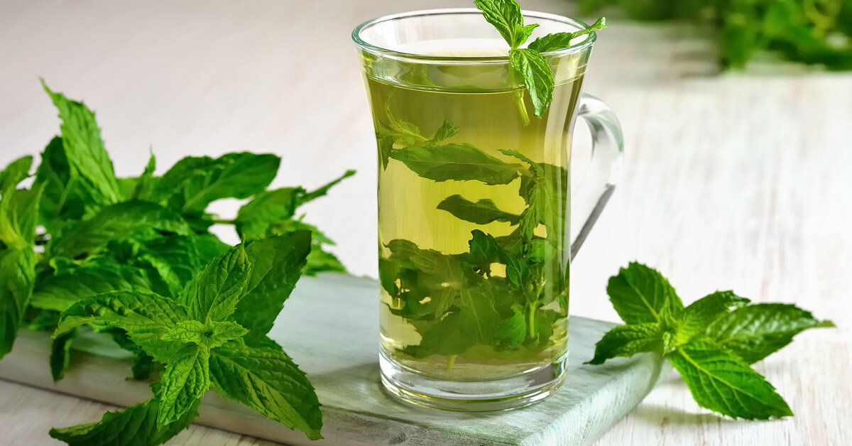 نعناع