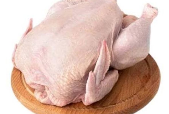 فرخه بيضاء