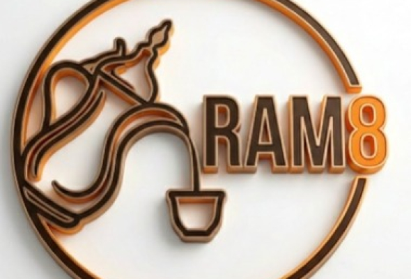 RAM 8