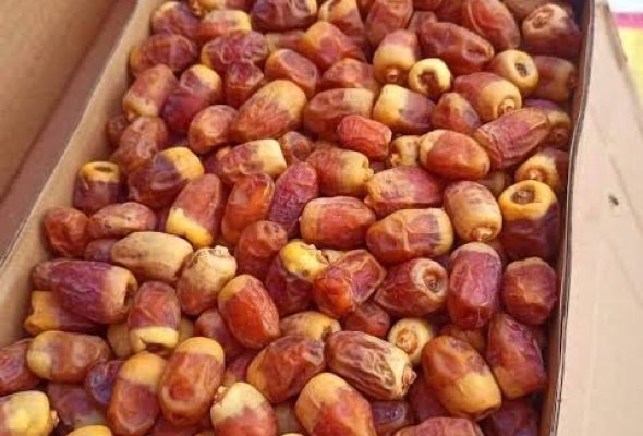 بلح الوادي