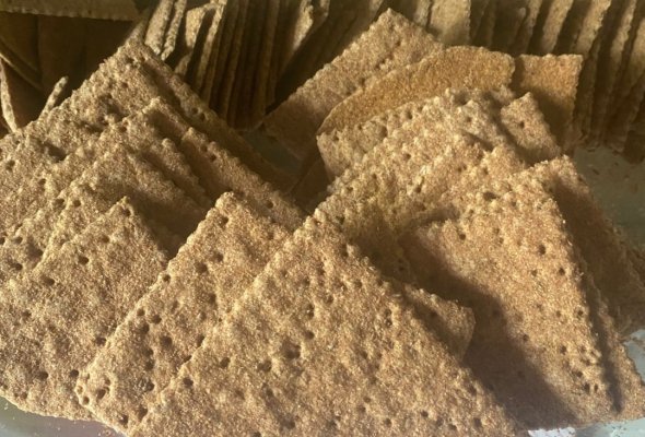 شرائح سن